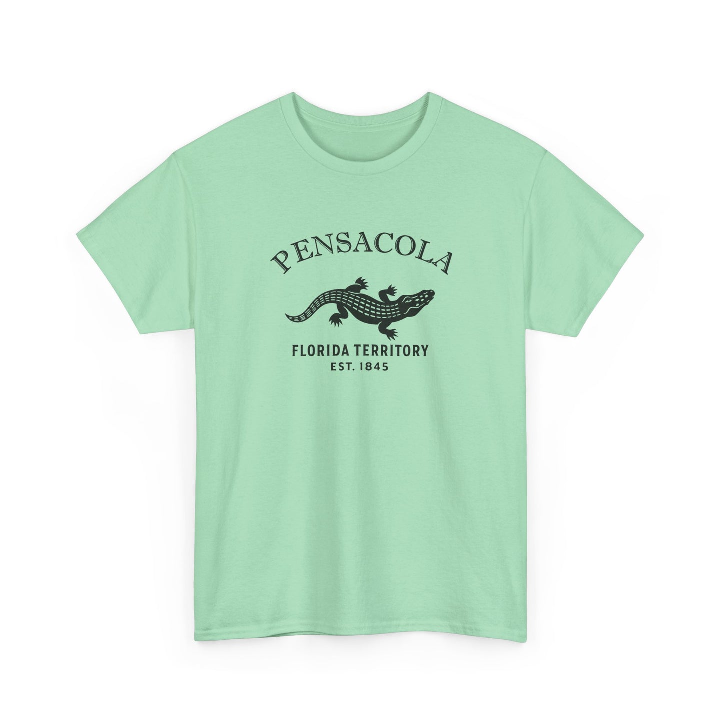 Pensacola Florida Vintage Retro Unisex Heavy Cotton Tee - Black Logo