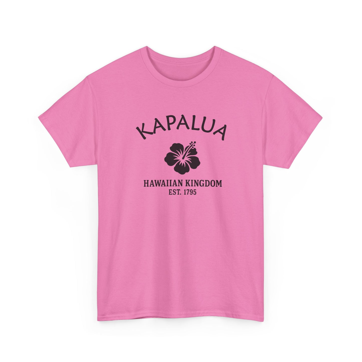 Kapalua Hawaii Vintage Retro Unisex Heavy Cotton Tee - Black Logo