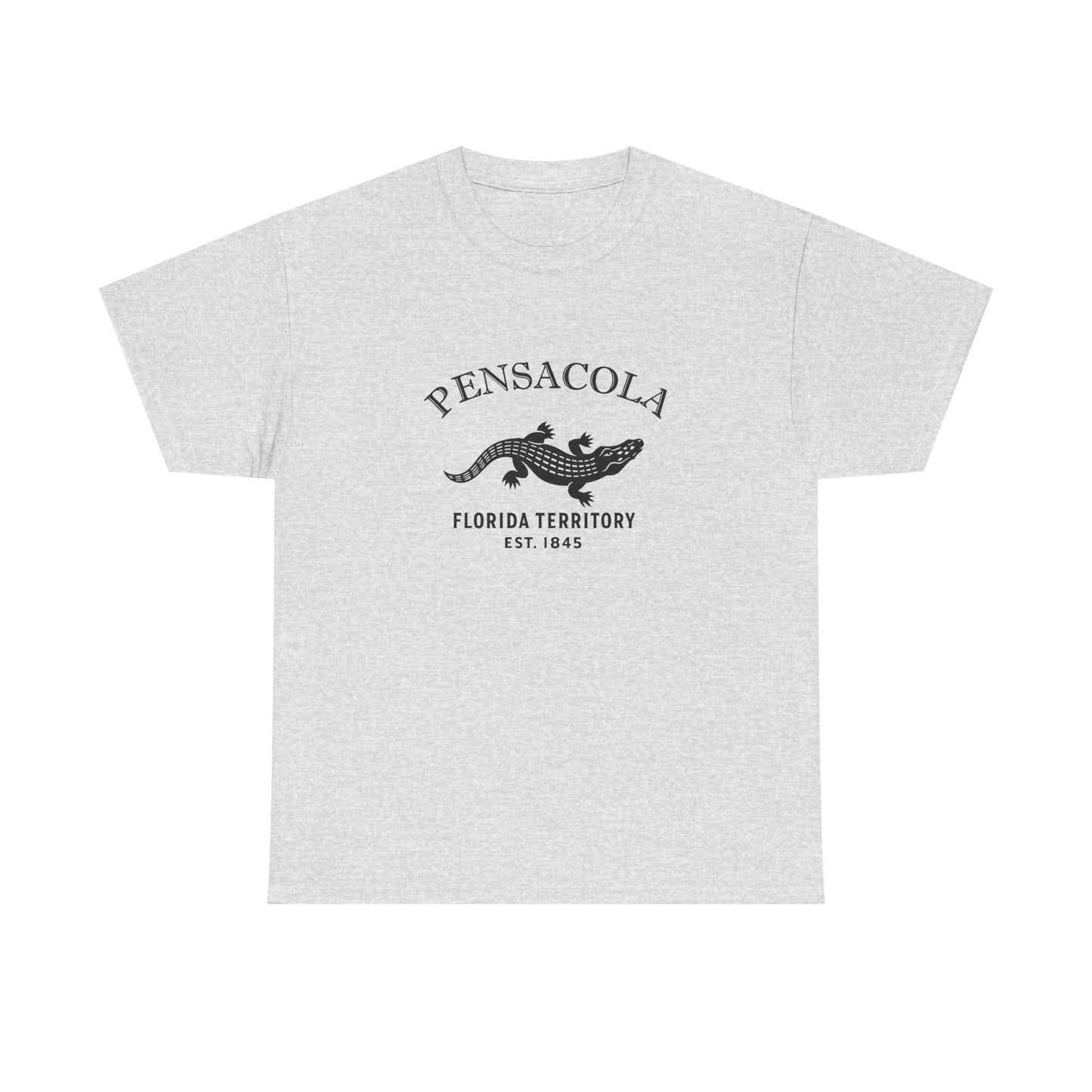 Pensacola Florida Vintage Retro Unisex Heavy Cotton Tee - Black Logo