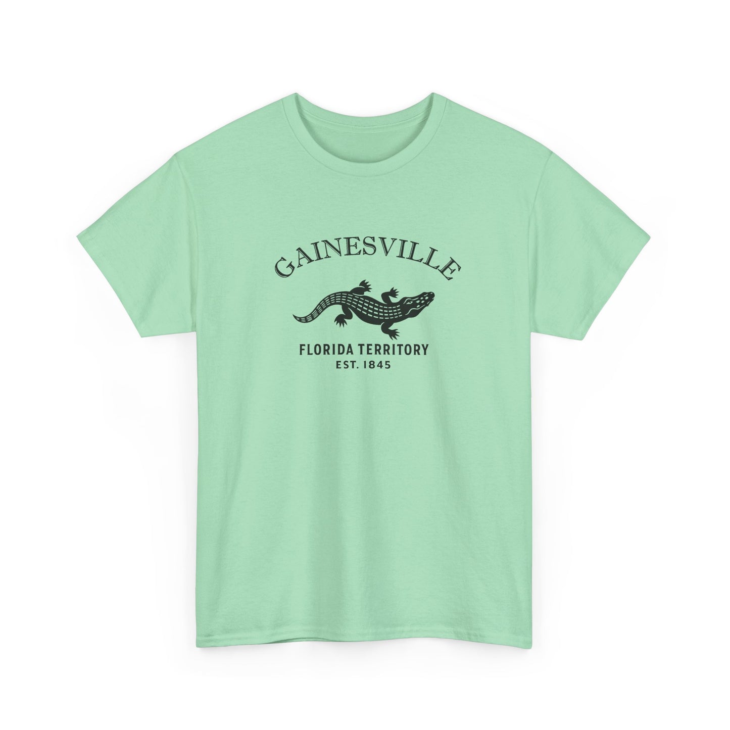 Gainesville Florida Vintage Retro Unisex Heavy Cotton Tee - Black Logo