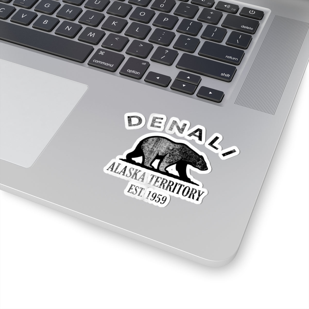 Denali Alaska Vintage Retro Vinyl Sticker - Black Logo