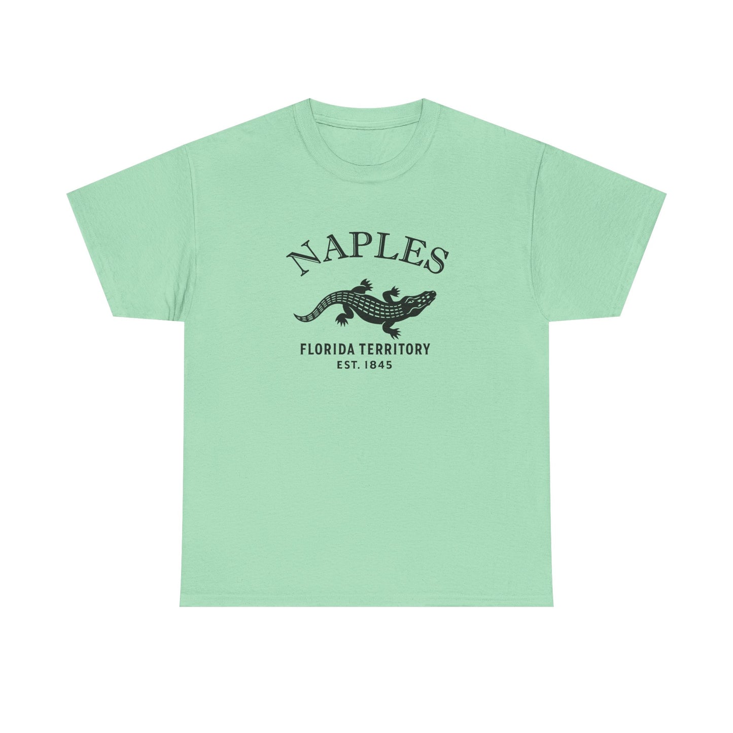 Naples Florida Vintage Retro Unisex Heavy Cotton Tee - Black Logo