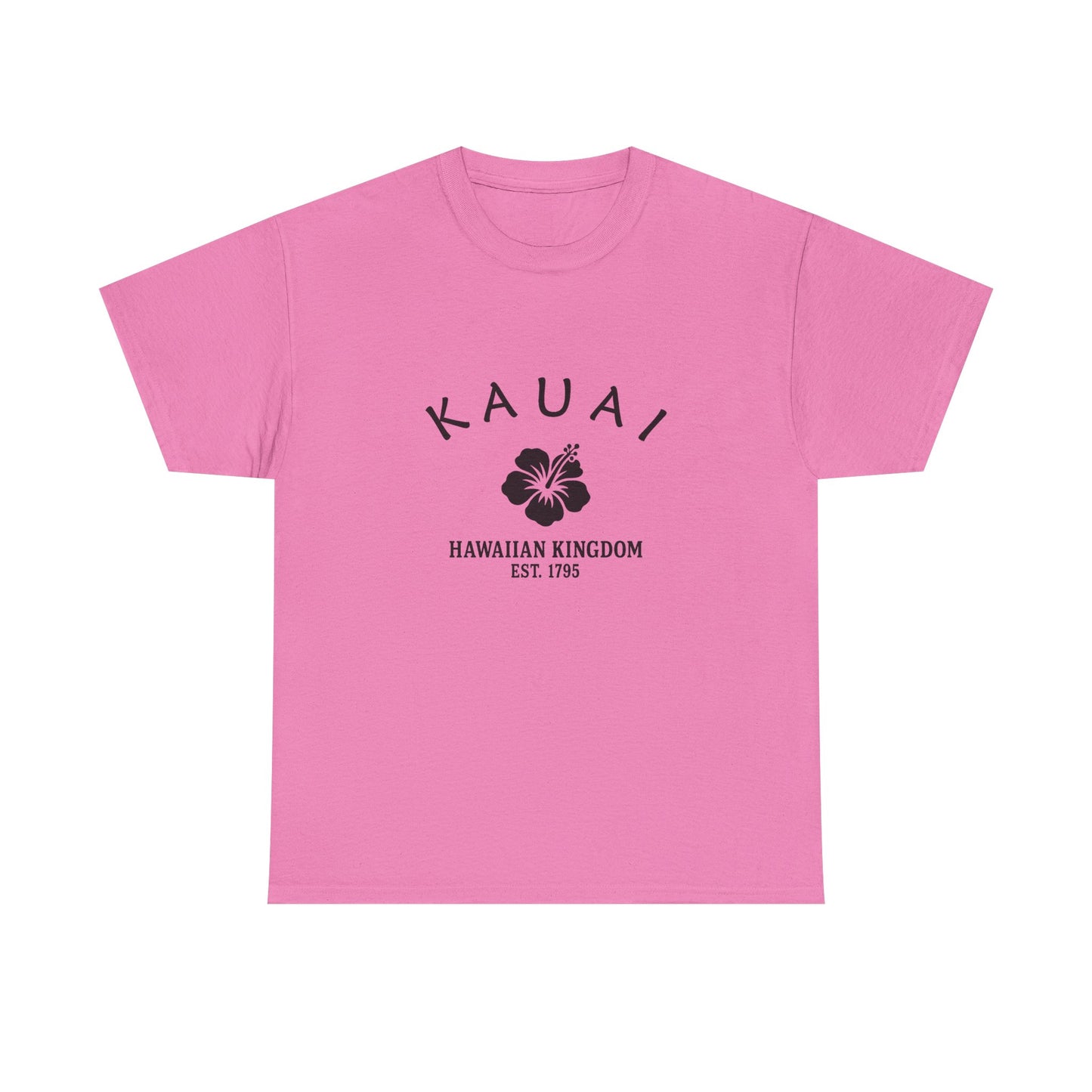 Kauai Hawaii Vintage Retro Unisex Heavy Cotton Tee - Black Logo