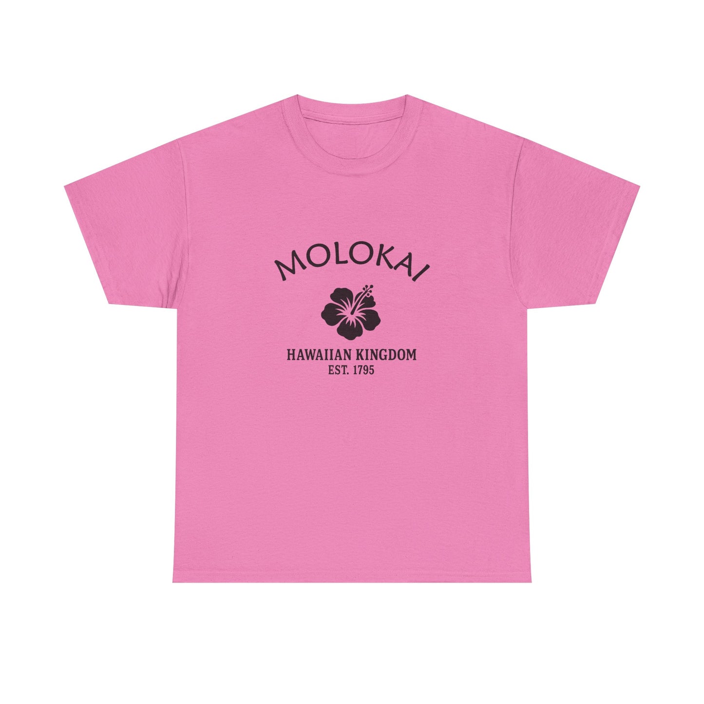 Molokai Hawaii Vintage Retro Unisex Heavy Cotton Tee - Black Logo