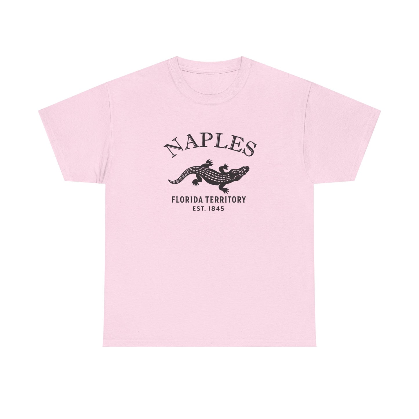 Naples Florida Vintage Retro Unisex Heavy Cotton Tee - Black Logo