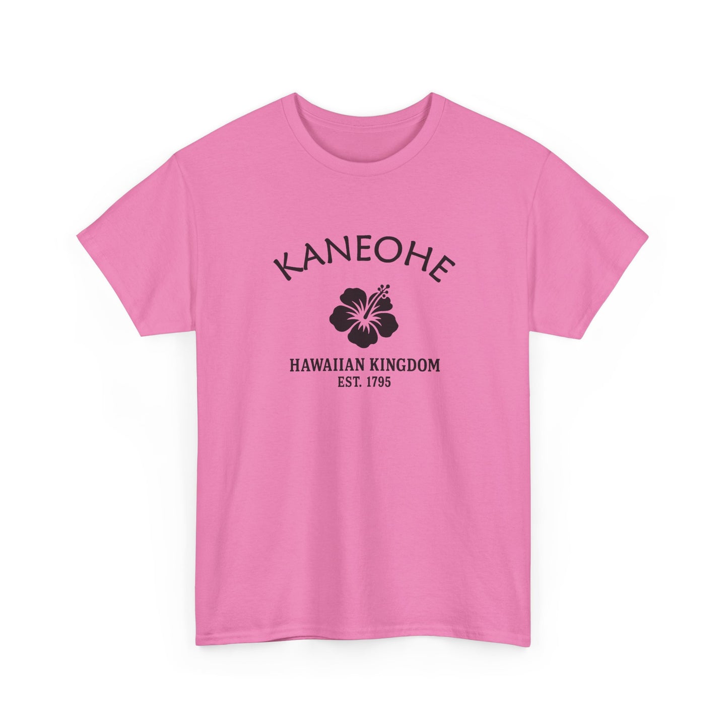 Kaneohe Hawaii Vintage Retro Unisex Heavy Cotton Tee - Black Logo
