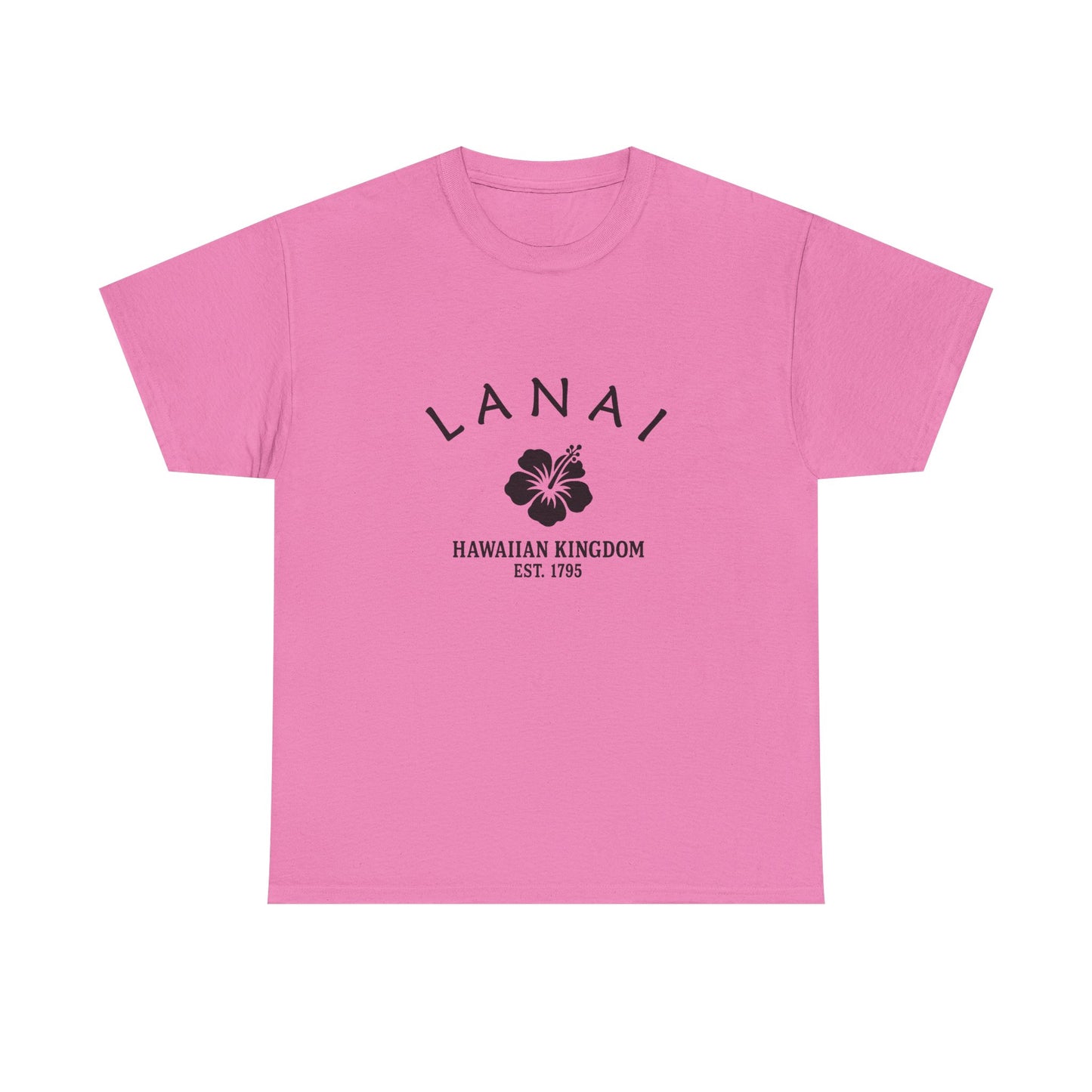 Lanai Hawaii Vintage Retro Unisex Heavy Cotton Tee - Black Logo