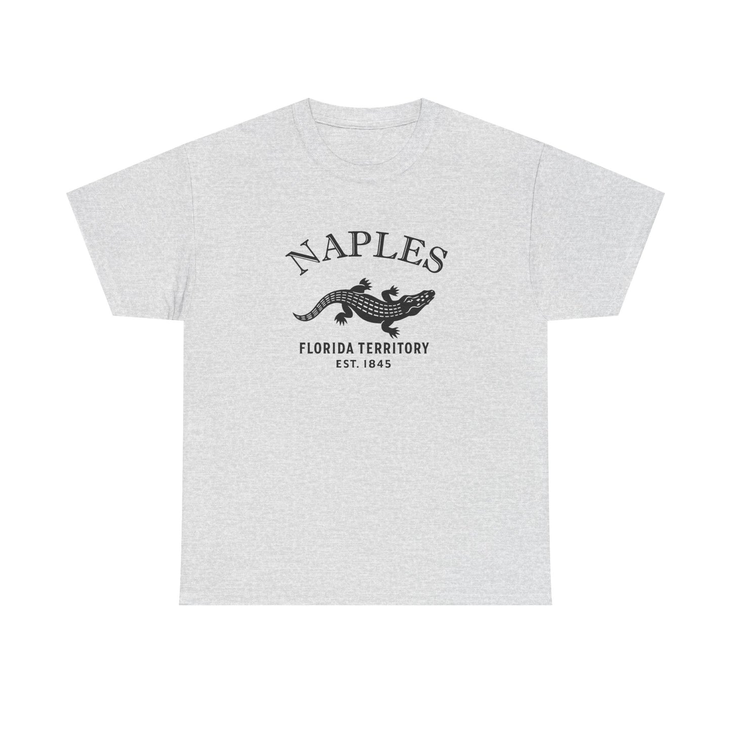 Naples Florida Vintage Retro Unisex Heavy Cotton Tee - Black Logo