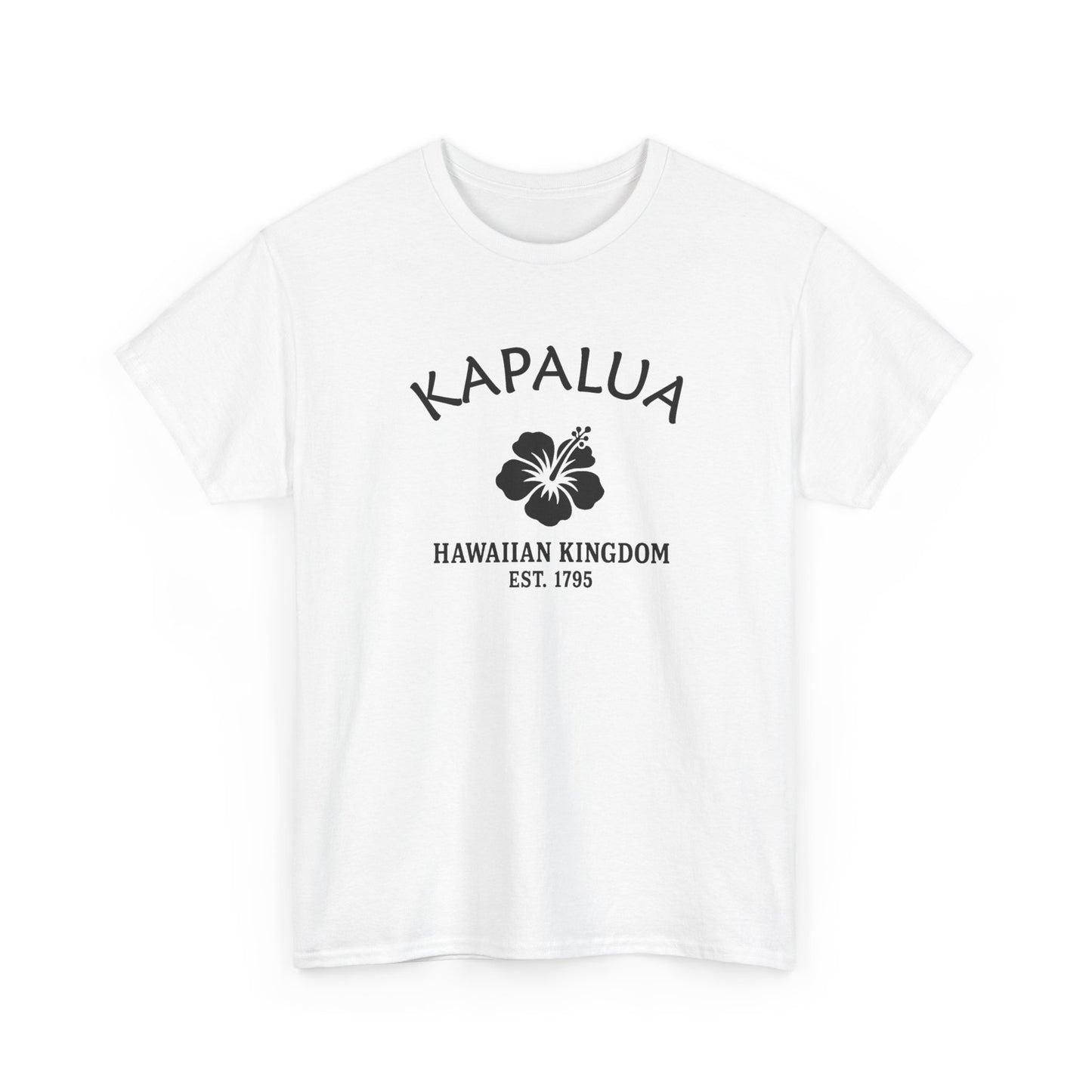 Kapalua Hawaii Vintage Retro Unisex Heavy Cotton Tee - Black Logo