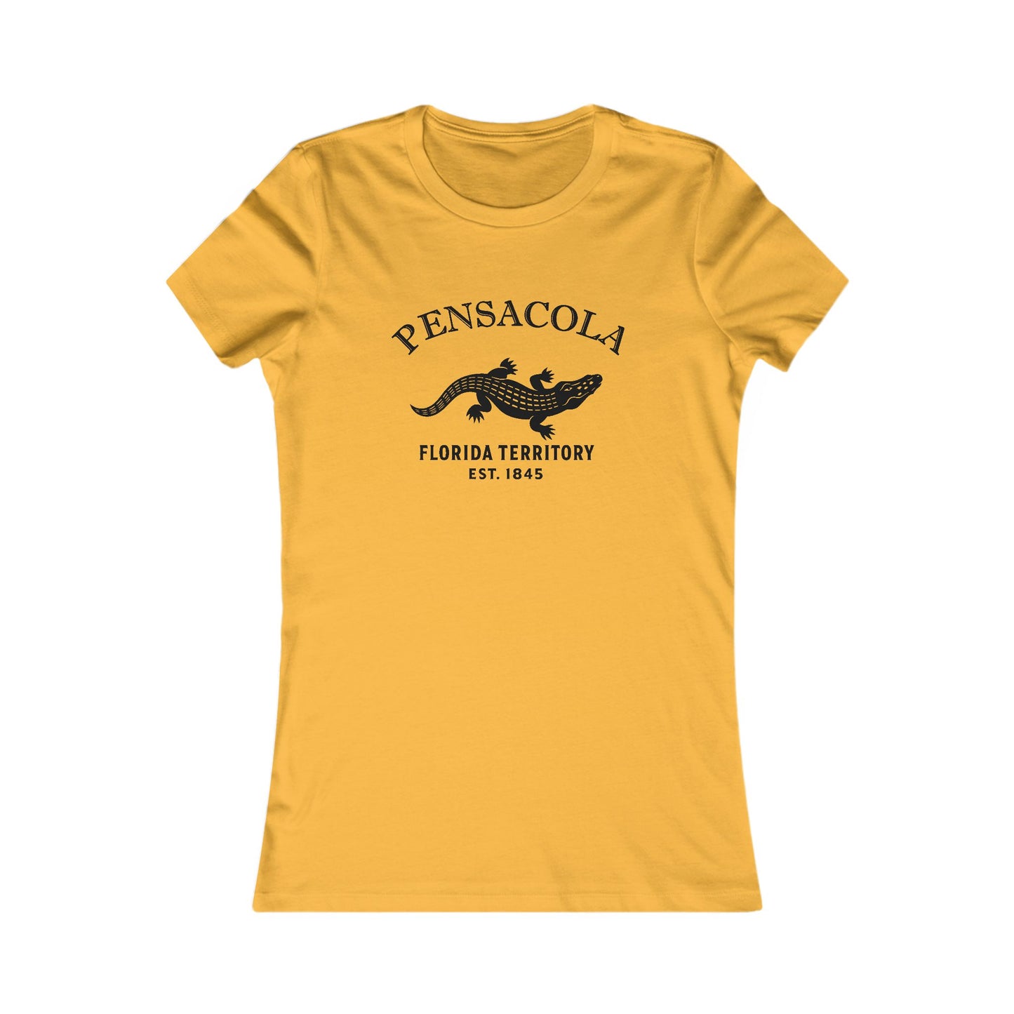 Pensacola Florida Vintage Retro Unisex Heavy Cotton Hoodie - Black Logo
