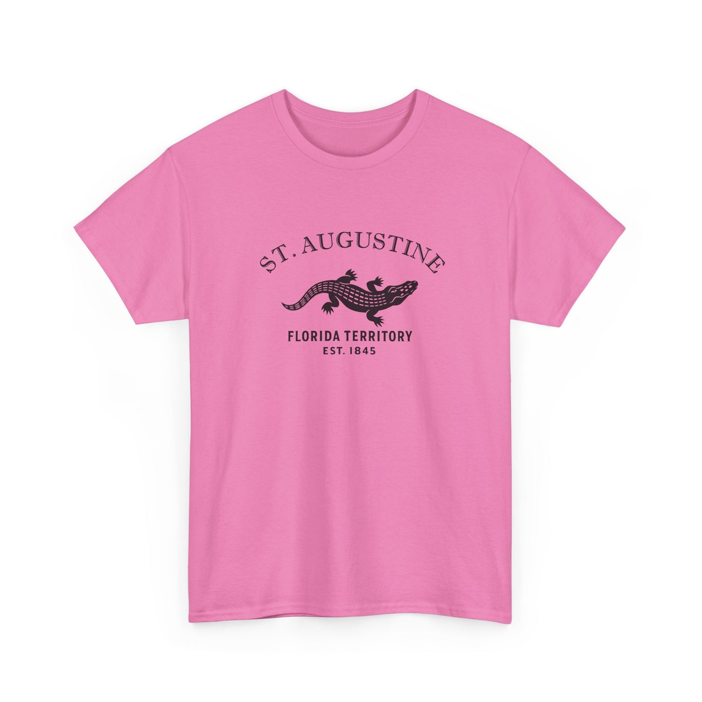St Augustine Florida Vintage Retro Unisex Heavy Cotton Tee - Black Logo