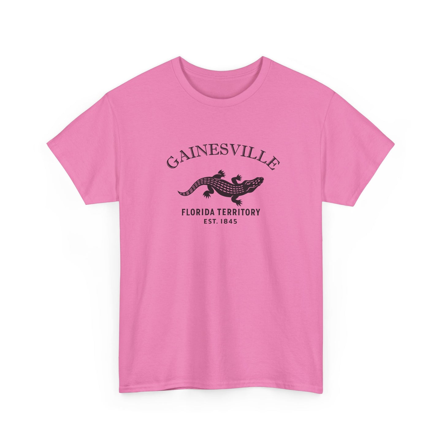 Gainesville Florida Vintage Retro Unisex Heavy Cotton Tee - Black Logo