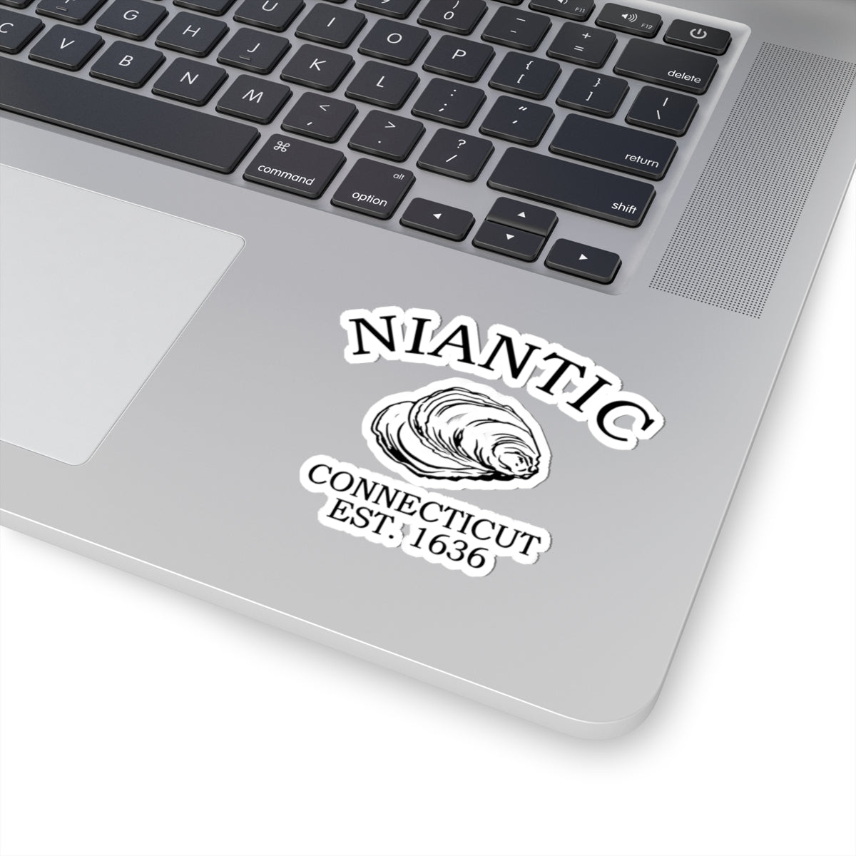 Niantic Connecticut Vintage Retro Vinyl Sticker - Black Logo