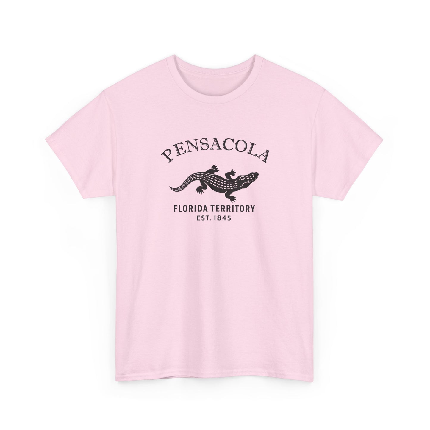 Pensacola Florida Vintage Retro Unisex Heavy Cotton Tee - Black Logo