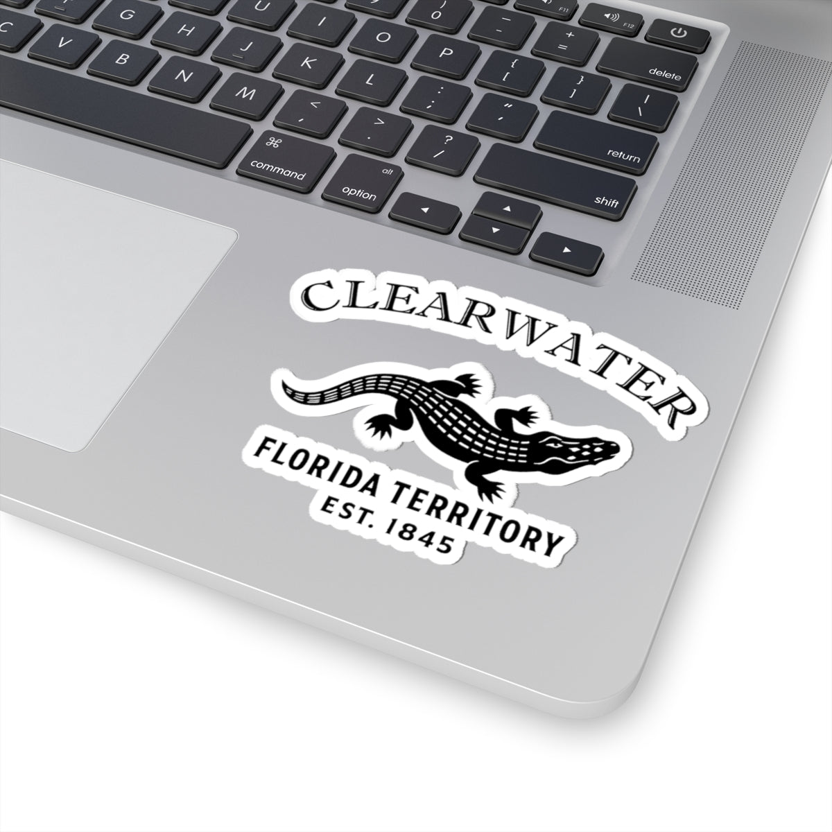 Clearwater Florida Vintage Retro Vinyl Sticker - Black Logo