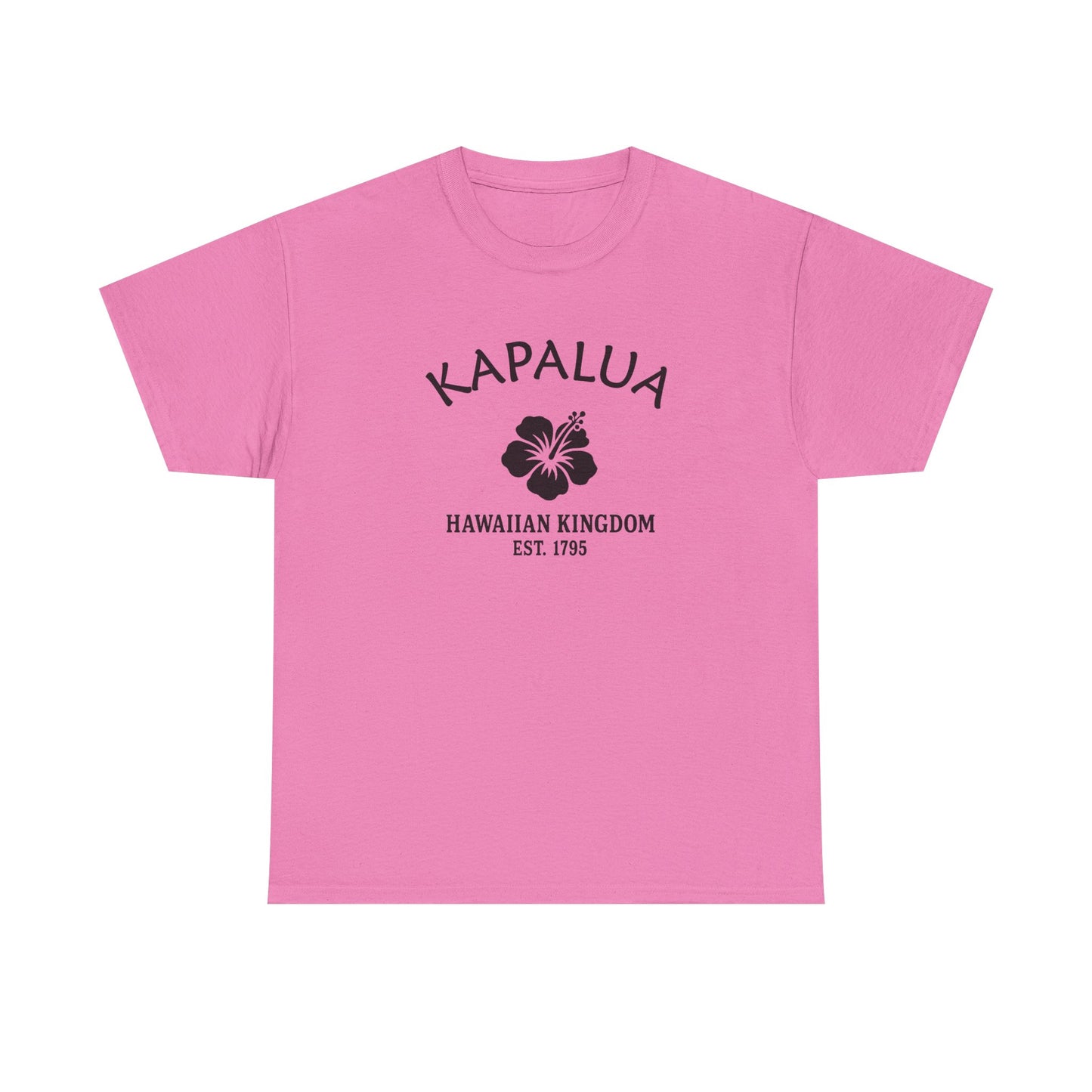 Kapalua Hawaii Vintage Retro Unisex Heavy Cotton Tee - Black Logo
