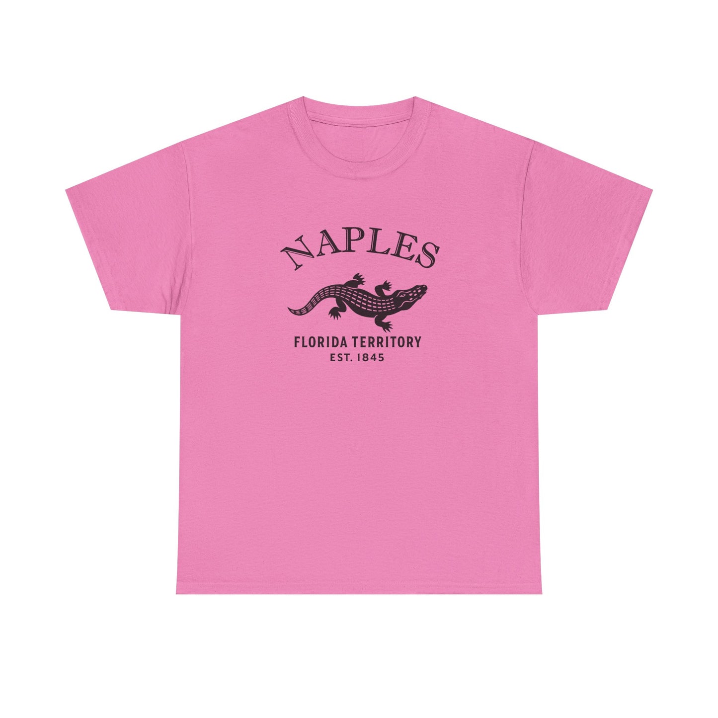 Naples Florida Vintage Retro Unisex Heavy Cotton Tee - Black Logo