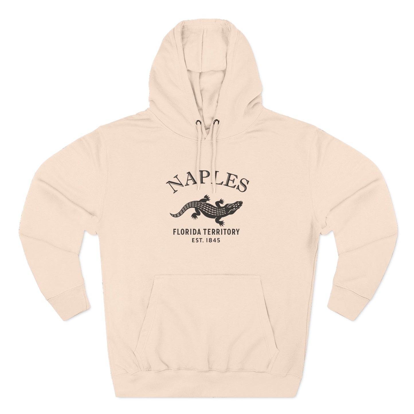 Naples Florida Vintage Retro Unisex Heavy Cotton Hoodie - Black Logo