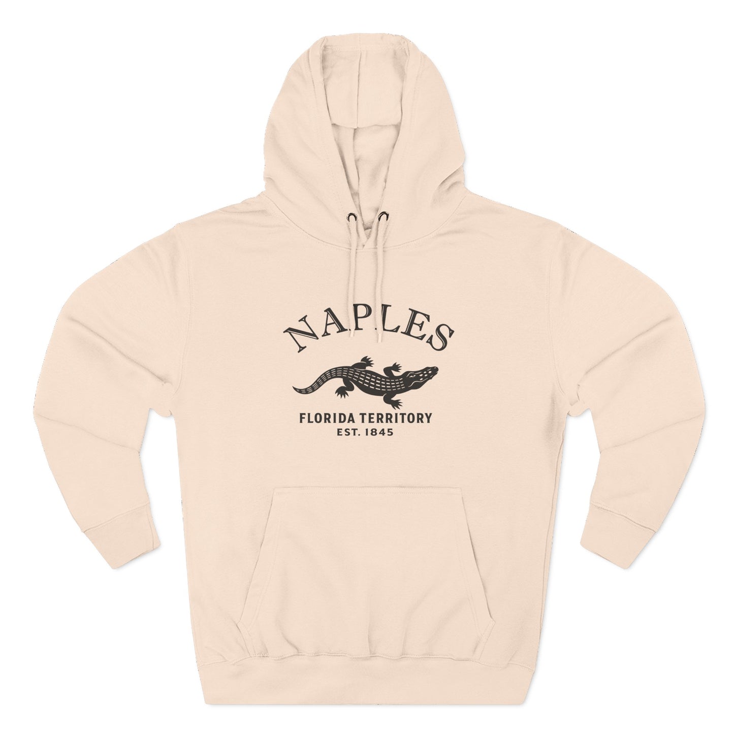 Naples Florida Vintage Retro Unisex Heavy Cotton Hoodie - Black Logo
