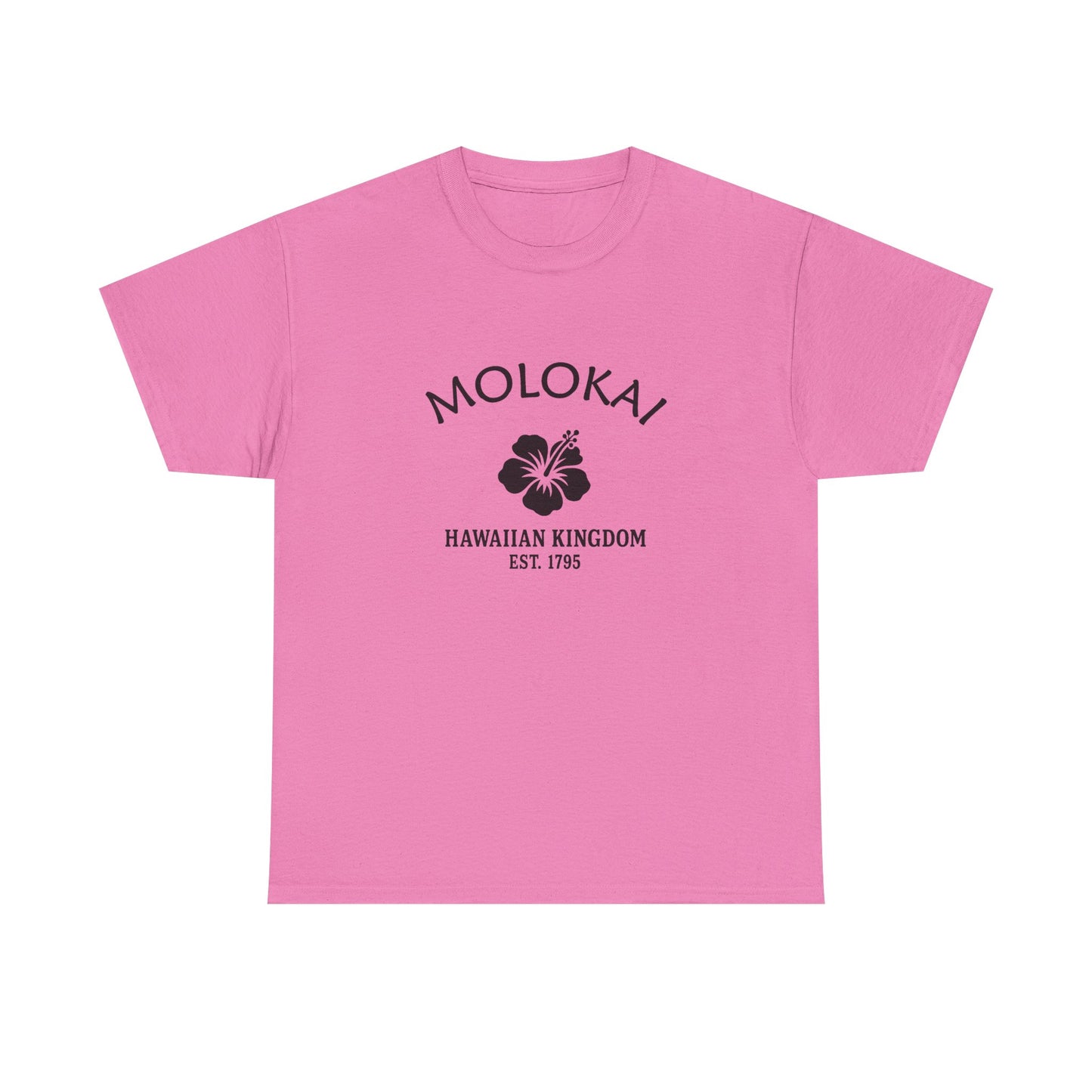 Molokai Hawaii Vintage Retro Unisex Heavy Cotton Tee - Black Logo