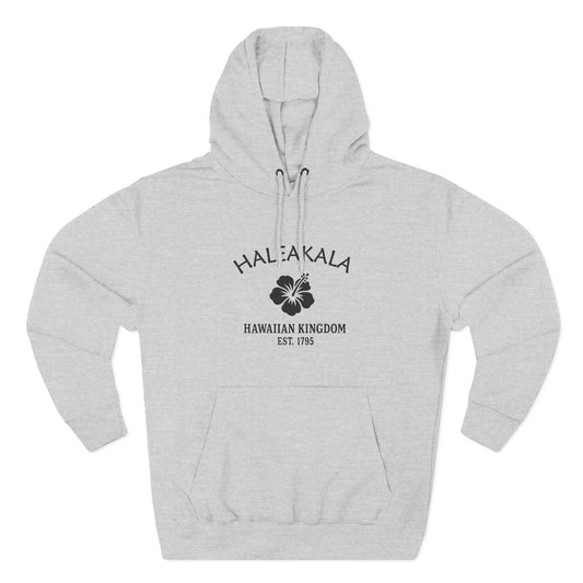 Haleakala Hawaii Vintage Retro Unisex Heavy Cotton Hoodie - Black Logo