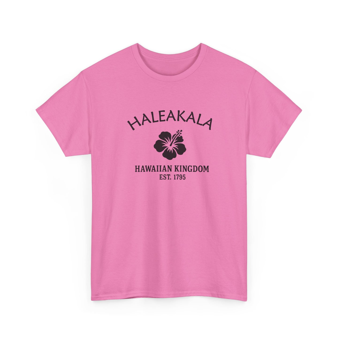 Haleakala Hawaii Vintage Retro Unisex Heavy Cotton Tee - Black Logo