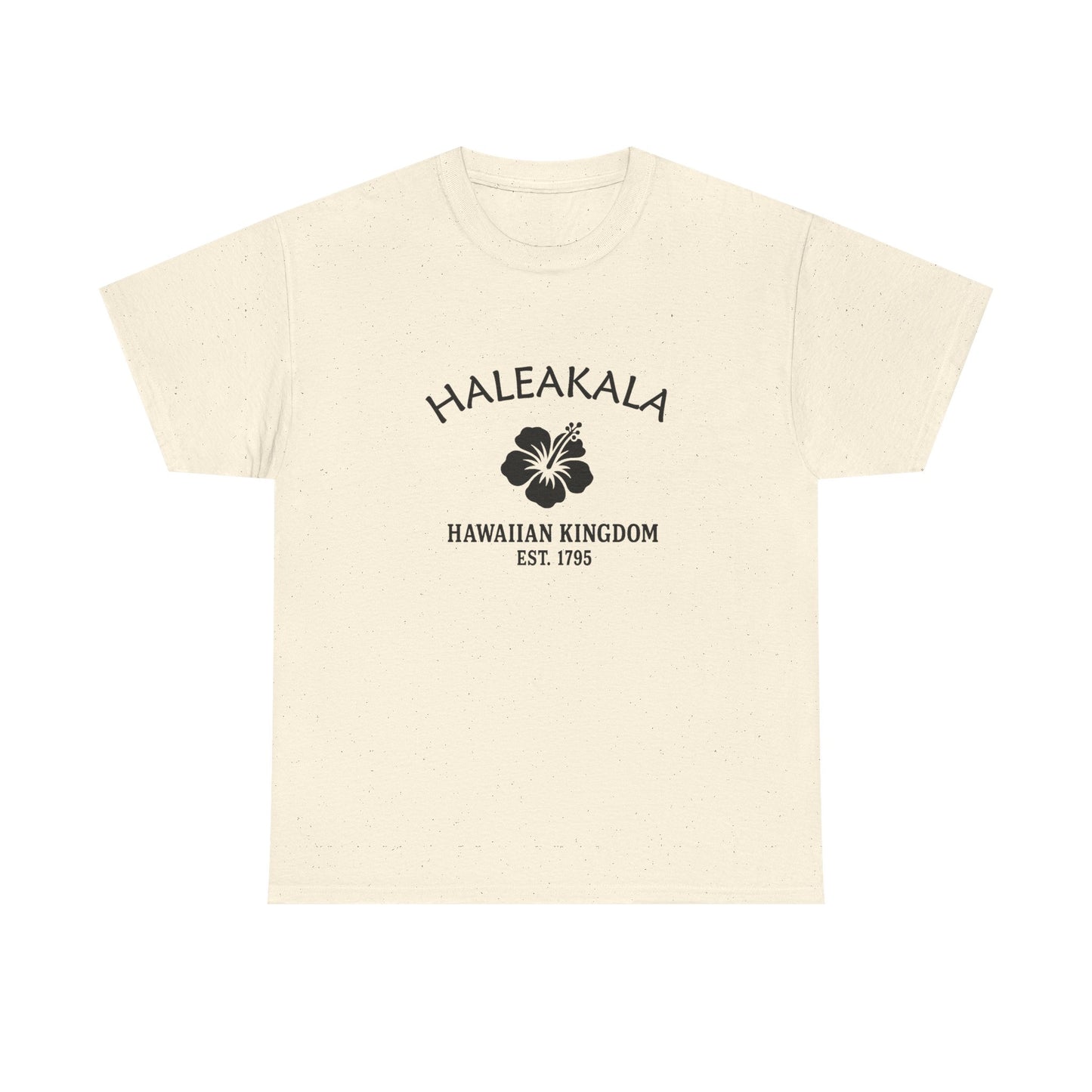 Haleakala Hawaii Vintage Retro Unisex Heavy Cotton Tee - Black Logo