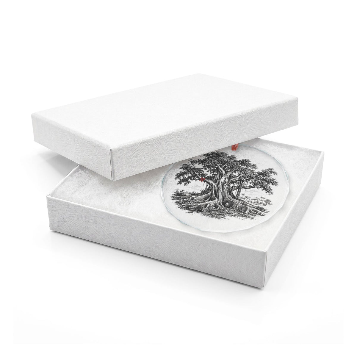 Santa Barbara California Holiday Ornament, Moreton Bay Fig, Crystal Glass Ornament in White Gift Box