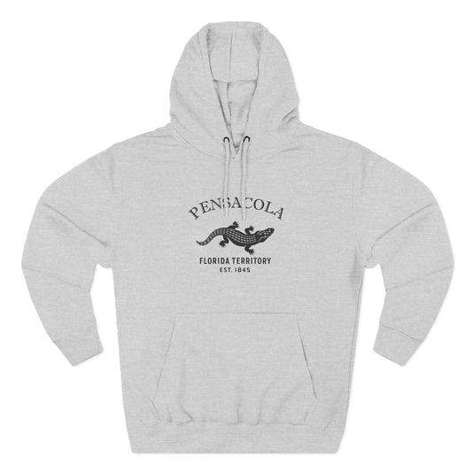 Pensacola Florida Vintage Retro Unisex Heavy Cotton Hoodie - Black Logo