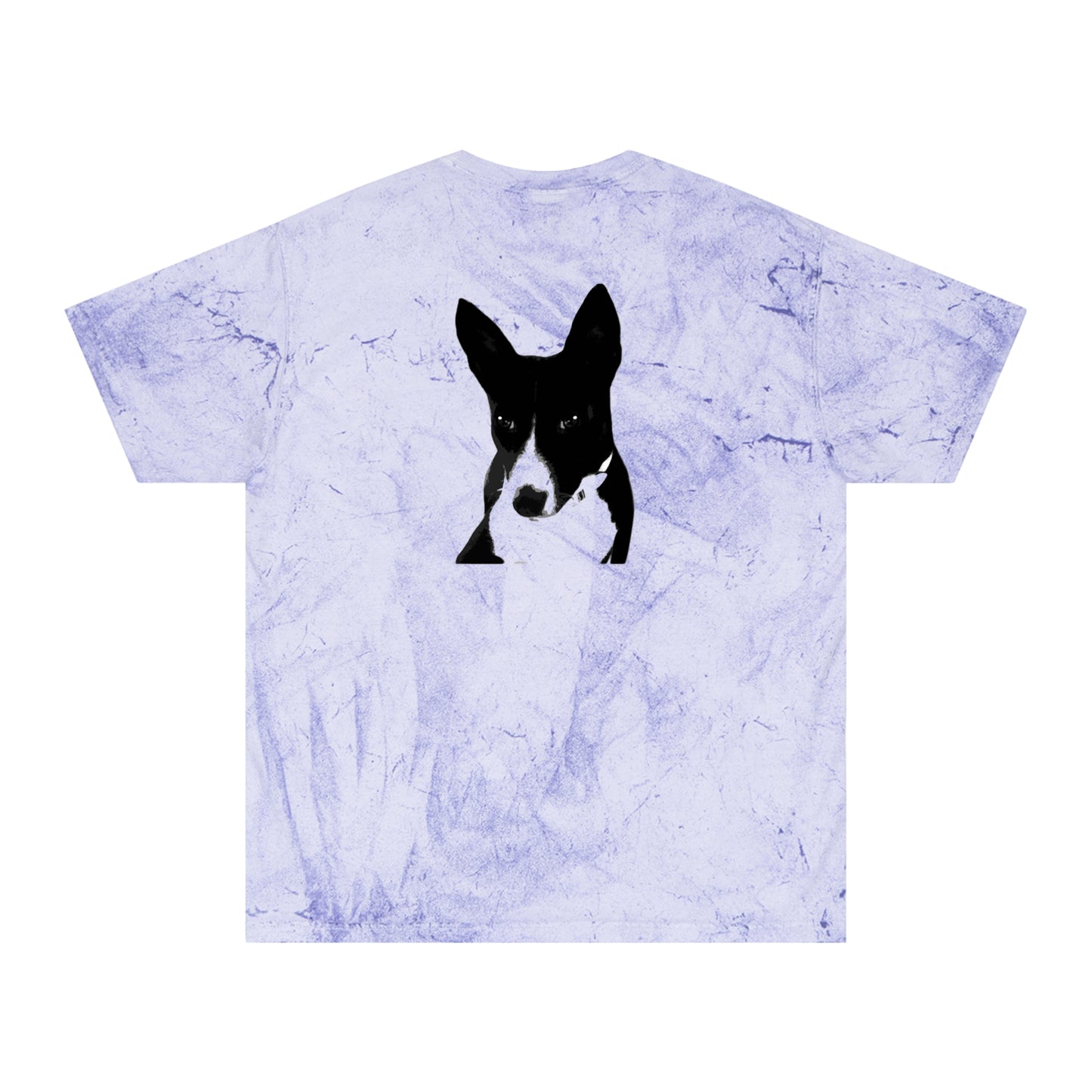 A Life Well Lived Basenji Retro Color Blast Cotton Tee - Black Logo