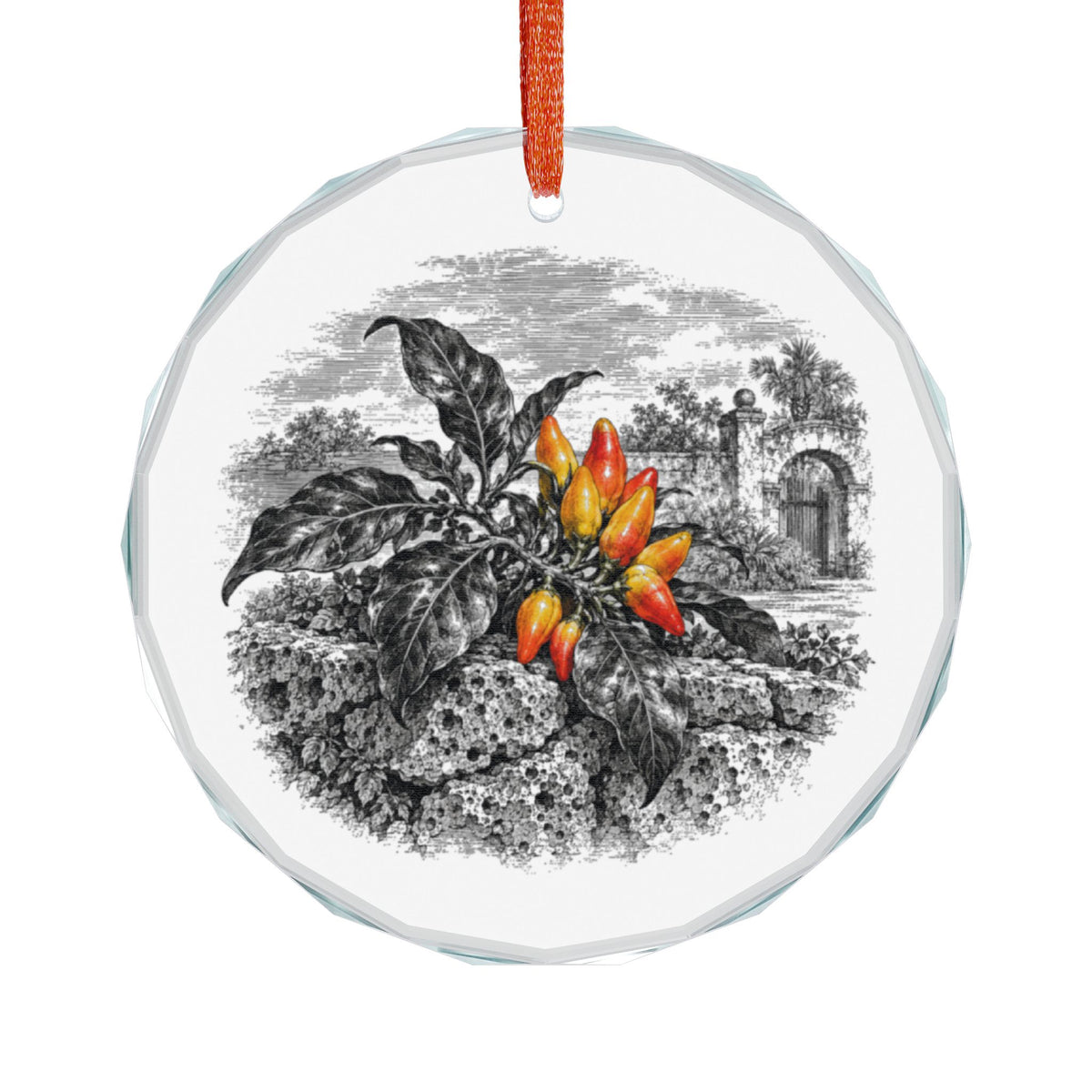 St. Augustine Florida Holiday Ornament, Datil Pepper, Crystal Glass Ornament Hanging on White