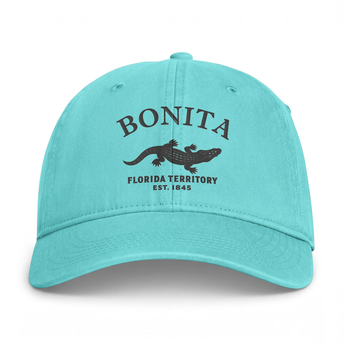 Bonita Springs Florida Retro Vintage Washed Cap in Chalky Mint, Charcoal Printed Town Logo