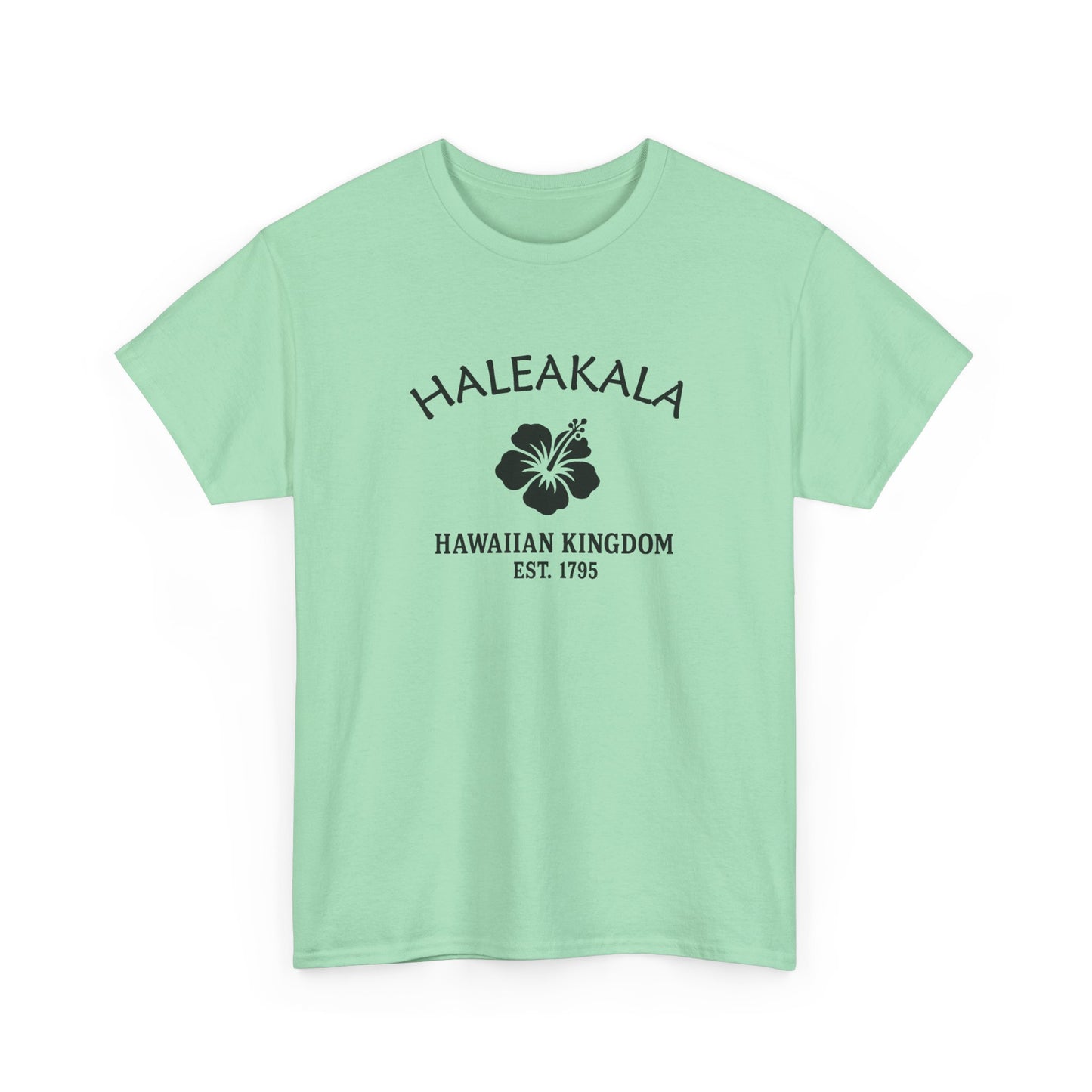 Haleakala Hawaii Vintage Retro Unisex Heavy Cotton Tee - Black Logo