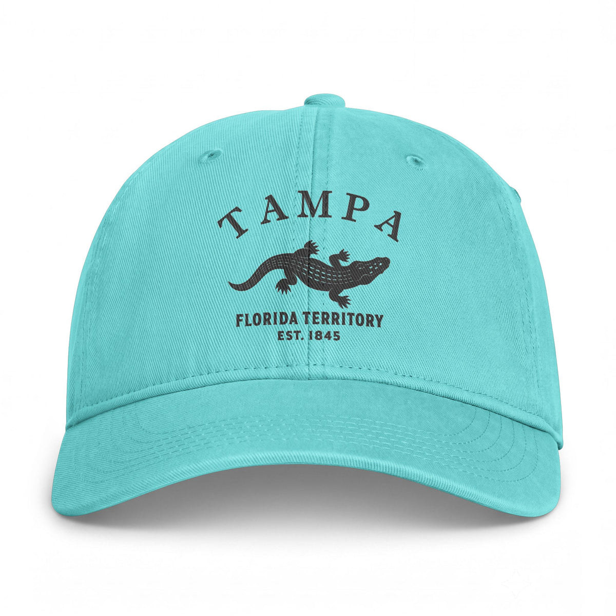 Tampa Florida Distressed Cotton Cap - Charcoal Print Logo