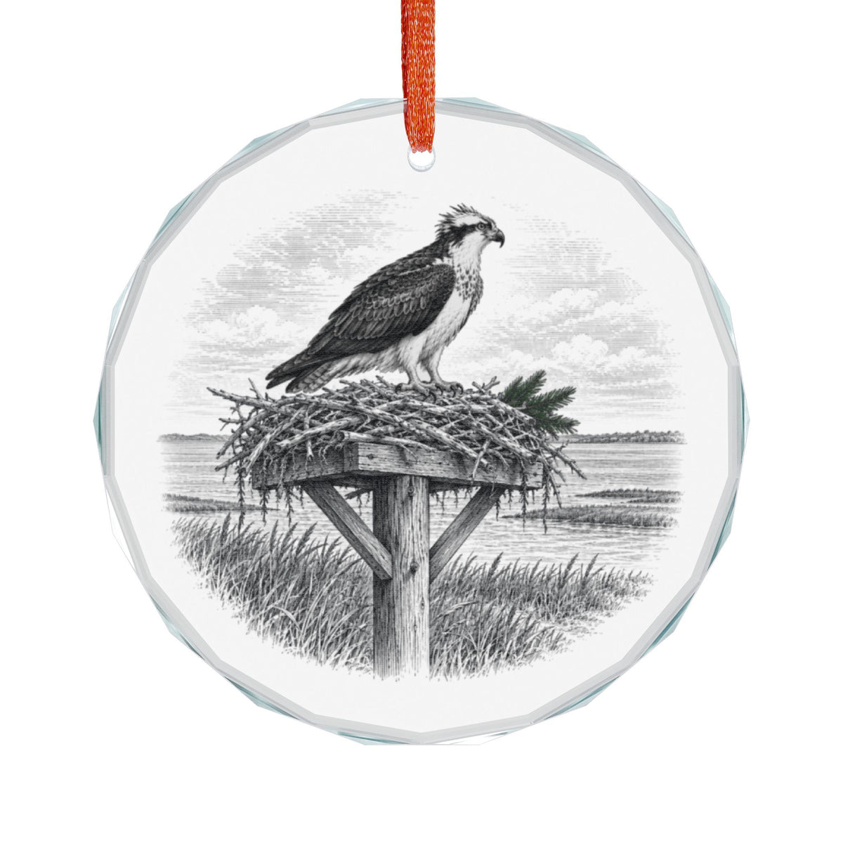 Madison Connecticut Crystal Christmas Ornament Hanging on White, Osprey on a Nesting Platform at Hammonasset