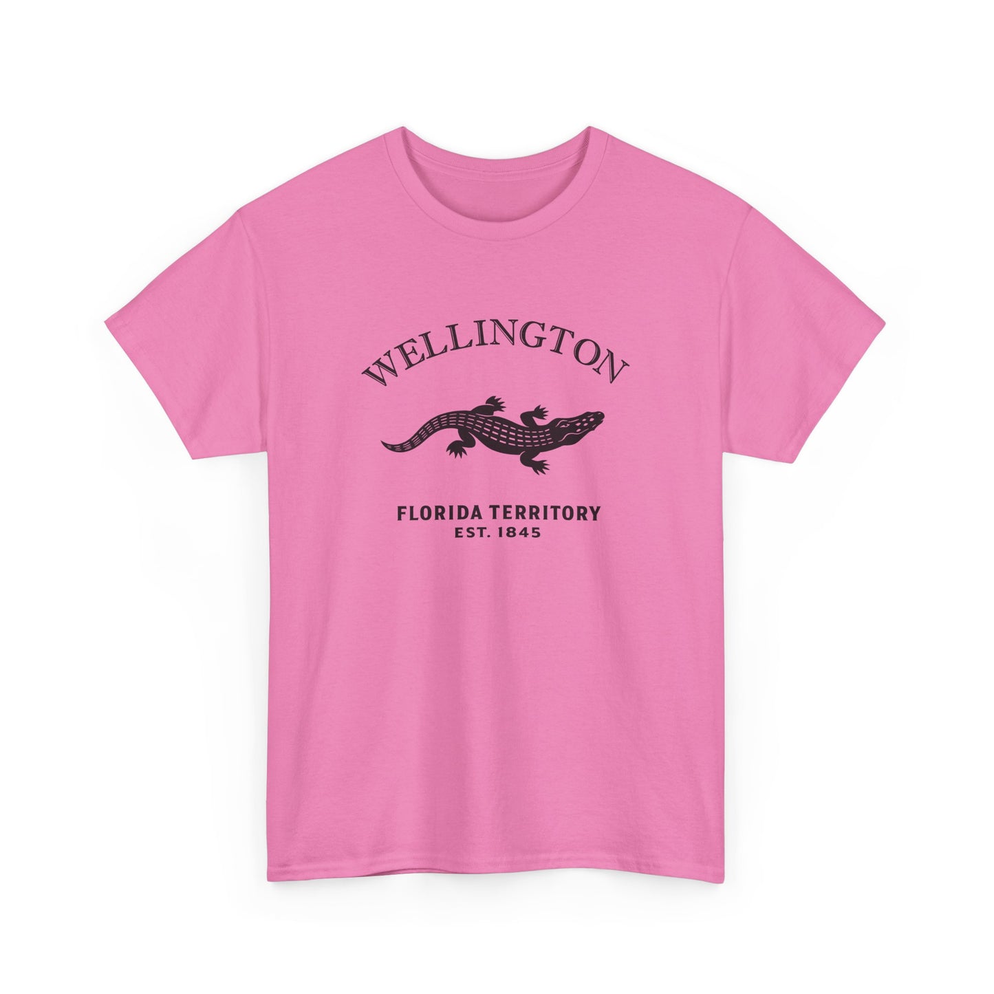 Wellington Florida Vintage Retro Unisex Heavy Cotton Tee - Black Logo