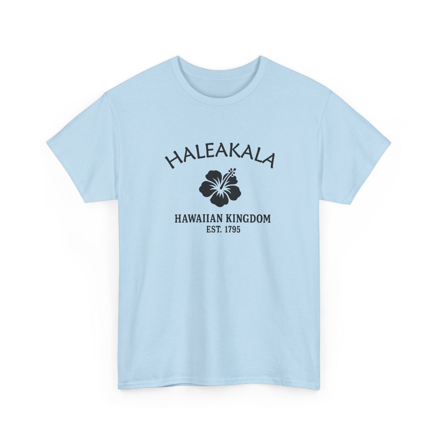 Haleakala Hawaii Vintage Retro Unisex Heavy Cotton Tee - Black Logo