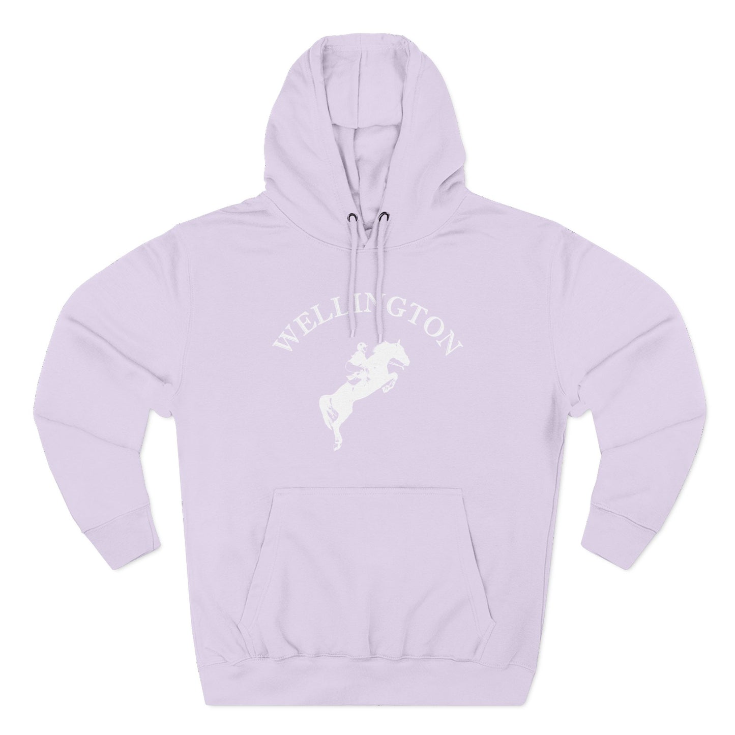 Wellington Florida Vintage Retro Unisex Heavy Cotton Equestrian Hoodie