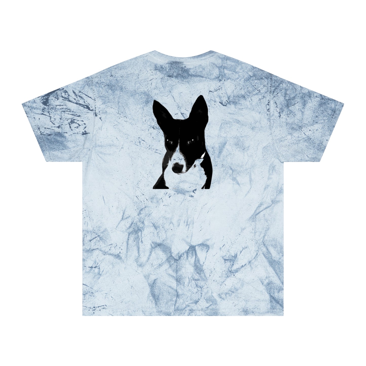 A Life Well Lived Basenji Retro Color Blast Cotton Tee - Black Logo