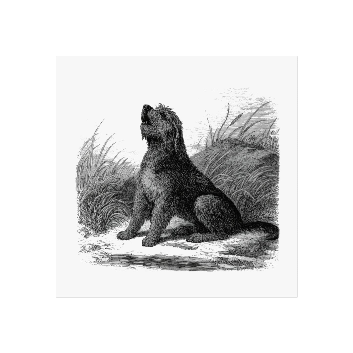 Otterhound Vintage Retro Art Series Poster - Howling For Fun