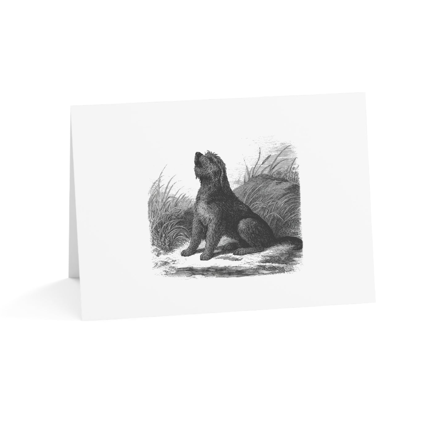 Otterhound Vintage Retro Thank You Card Set - Howling For Fun
