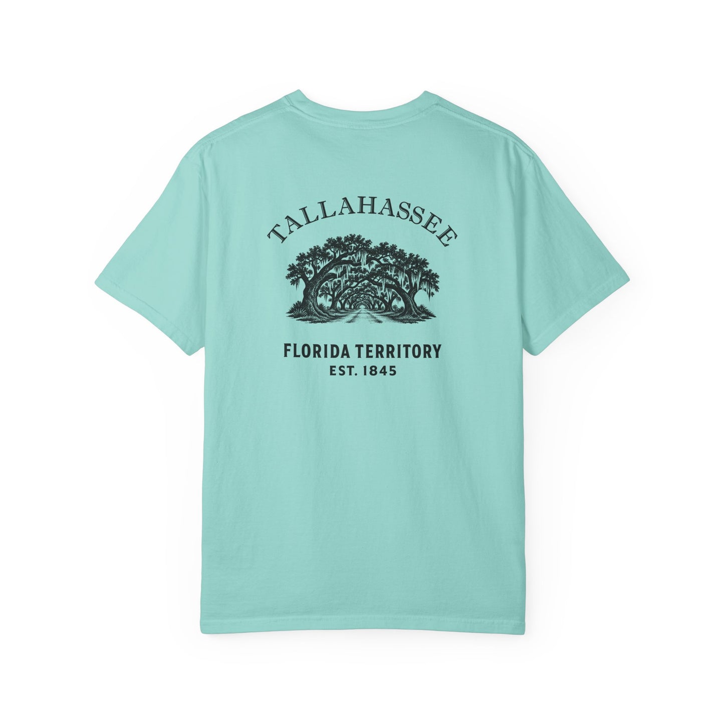 Tallahassee Florida Canopy Road Garment-Dyed Heavyweight Tee