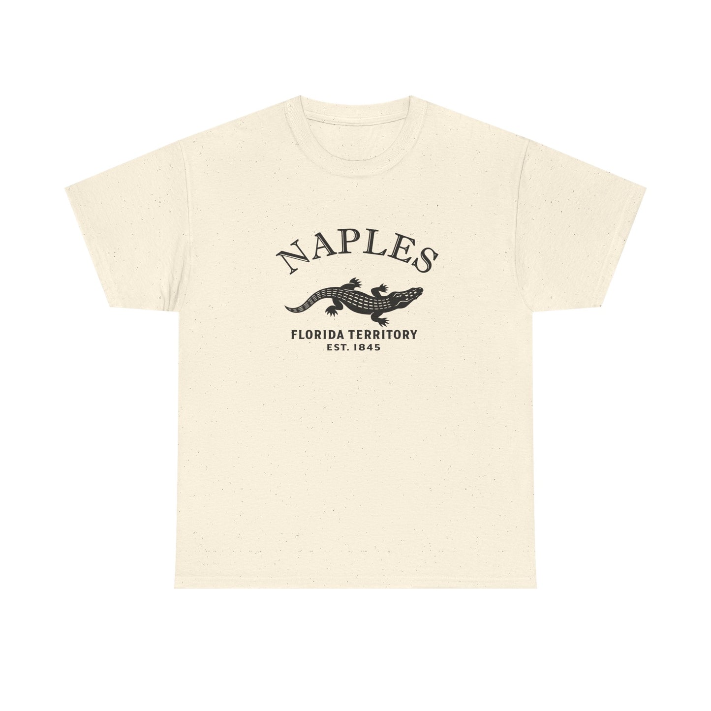 Naples Florida Vintage Retro Unisex Heavy Cotton Tee - Black Logo