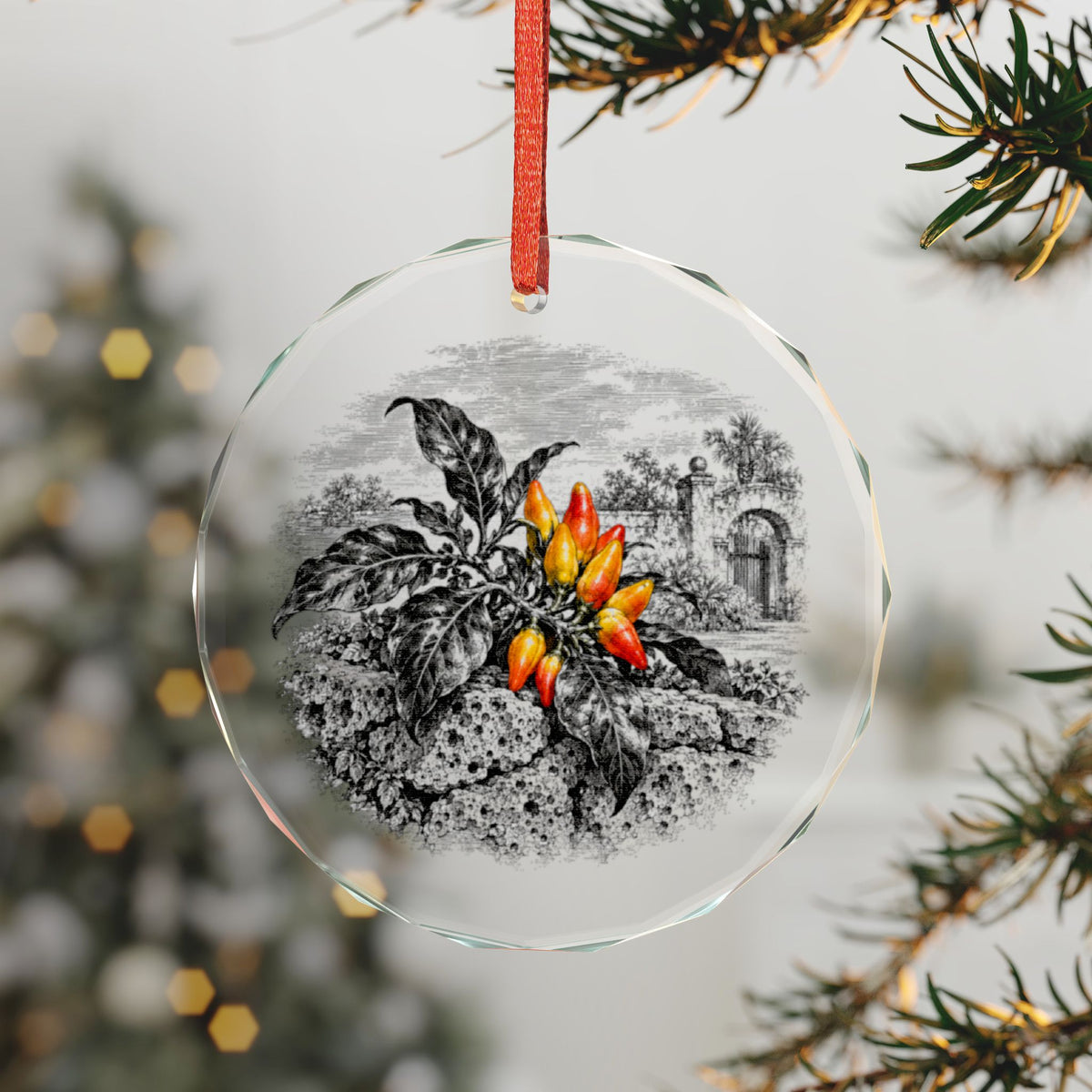 St. Augustine Florida Holiday Ornament, Datil Pepper, Crystal Glass Ornament Hanging on a Christmas Tree