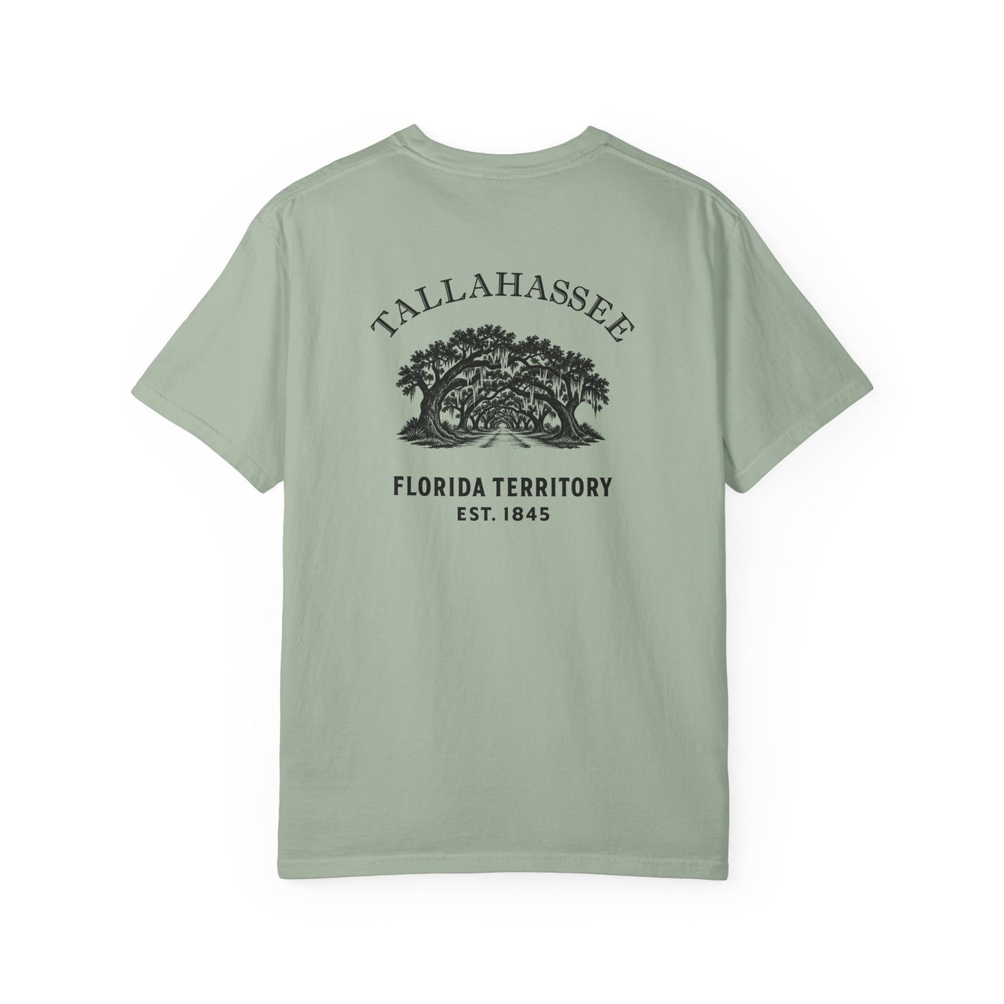 Tallahassee Florida Canopy Road Garment-Dyed Heavyweight Tee