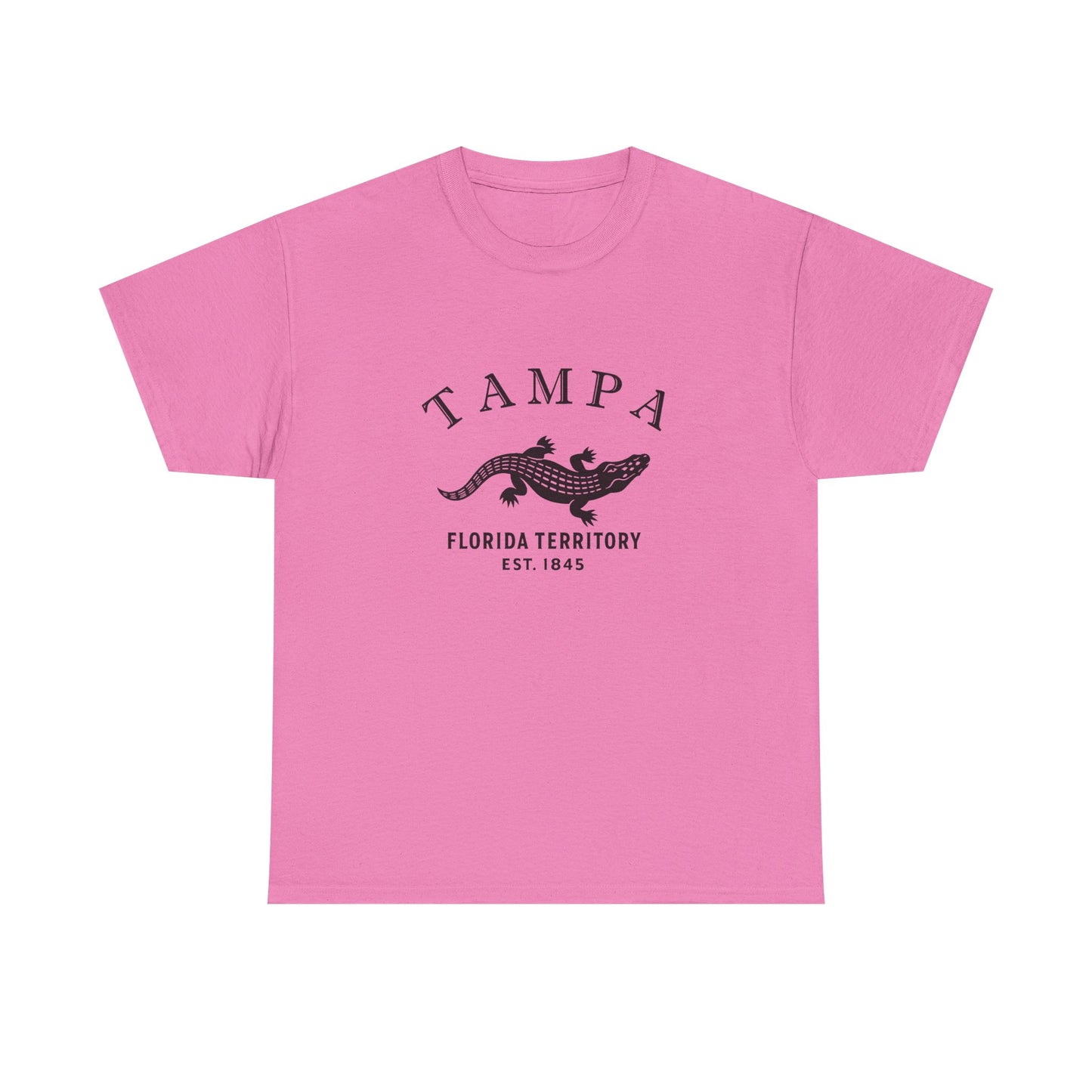 Tampa Florida Vintage Retro Unisex Heavy Cotton Tee - Black Logo