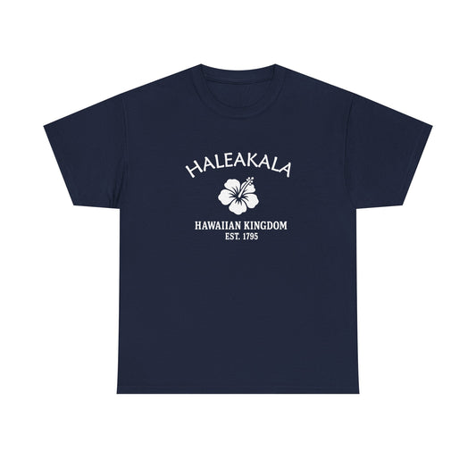 Haleakala Hawaii Vintage Retro Unisex Heavy Cotton Tee - White Logo