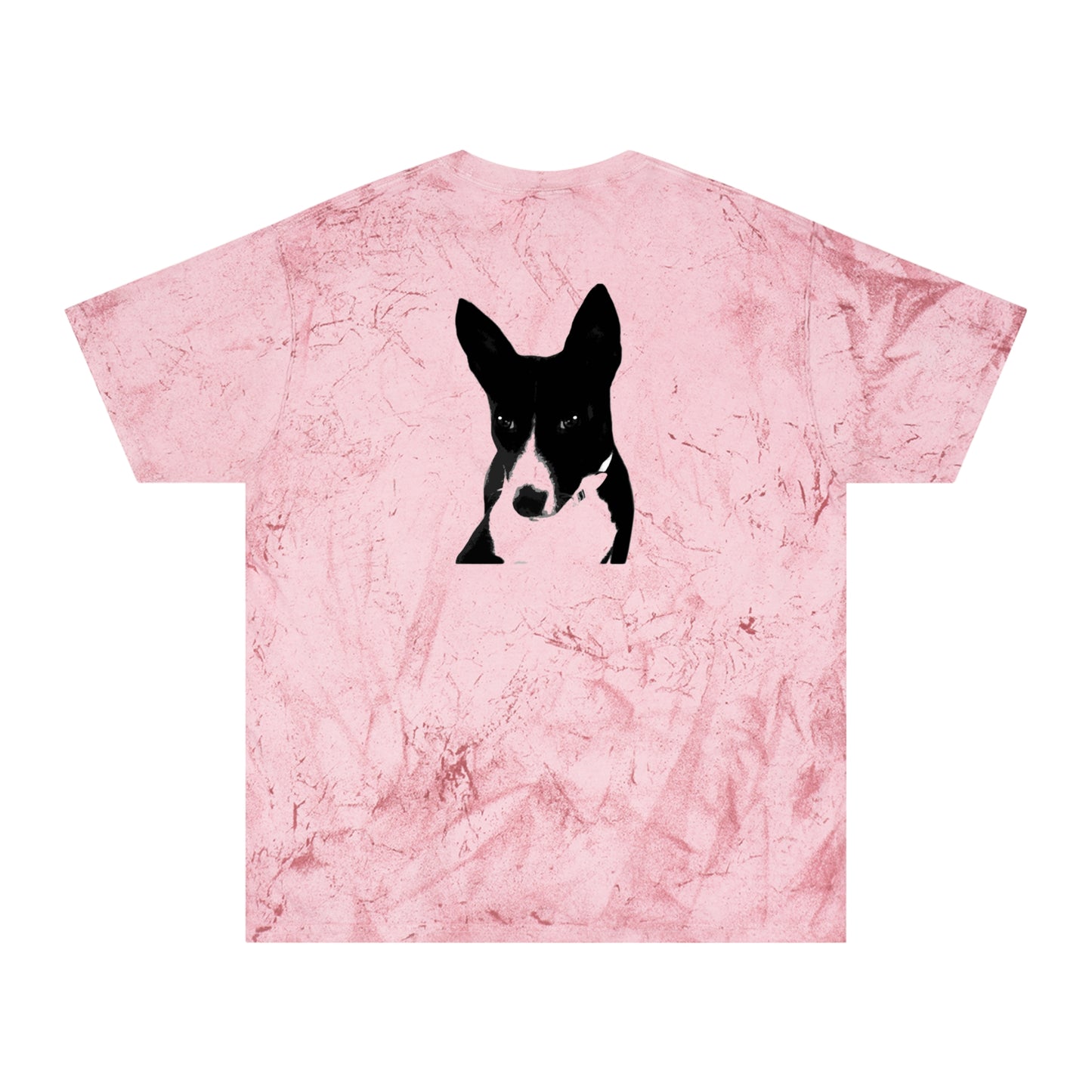 A Life Well Lived Basenji Retro Color Blast Cotton Tee - Black Logo