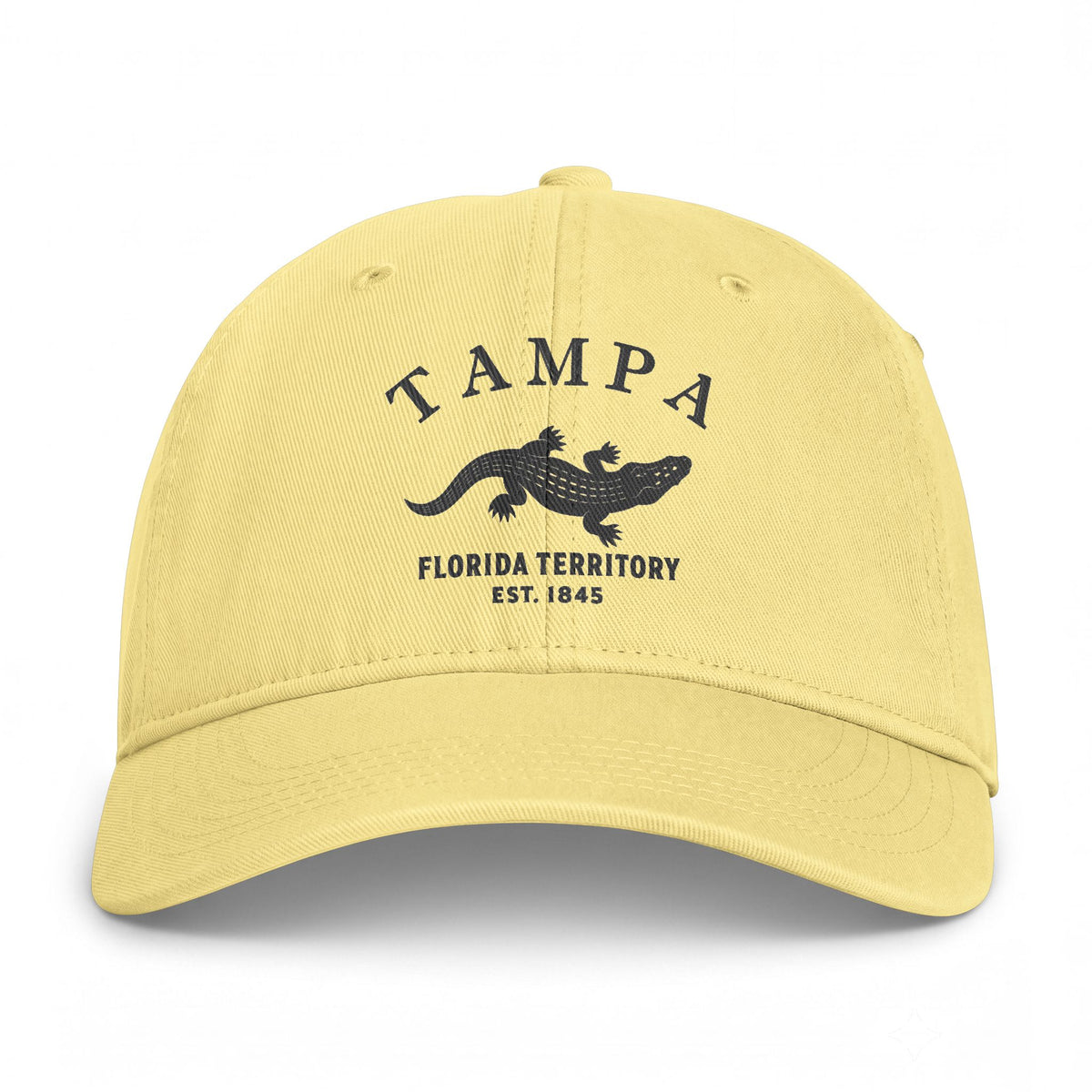 Tampa Florida Distressed Cotton Cap - Charcoal Print Logo