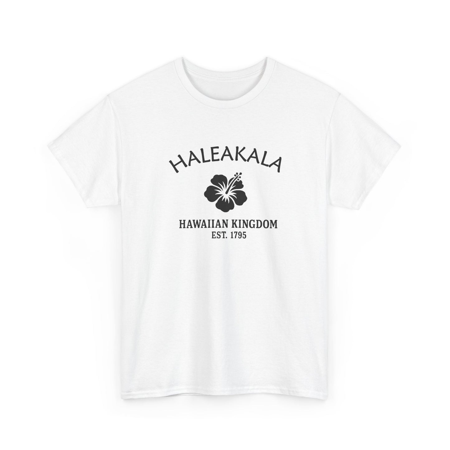 Haleakala Hawaii Vintage Retro Unisex Heavy Cotton Tee - Black Logo